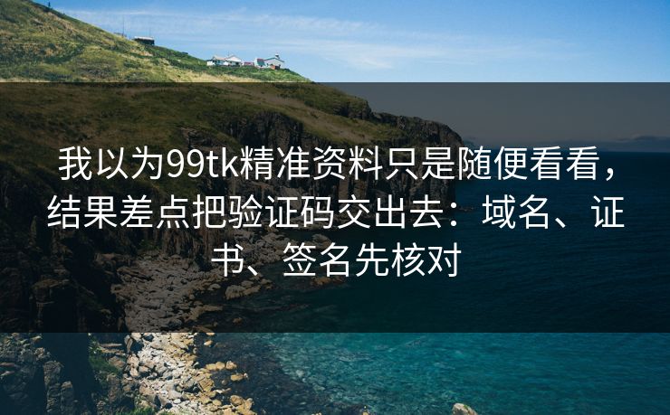 我以为99tk精准资料只是随便看看，结果差点把验证码交出去：域名、证书、签名先核对
