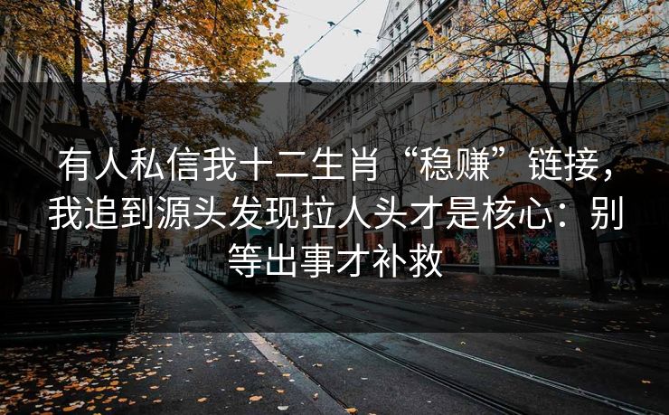 有人私信我十二生肖“稳赚”链接，我追到源头发现拉人头才是核心：别等出事才补救